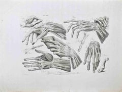 Anatomy of Hand - Etching By Paolo Mascagni - 1810