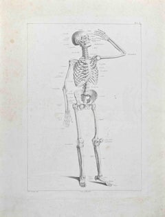Anatomy - Plate 1 - Etching by Paolo Mascagni - 1810