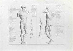 El cuerpo humano - Aguafuerte de Paolo Mascagni - 1810