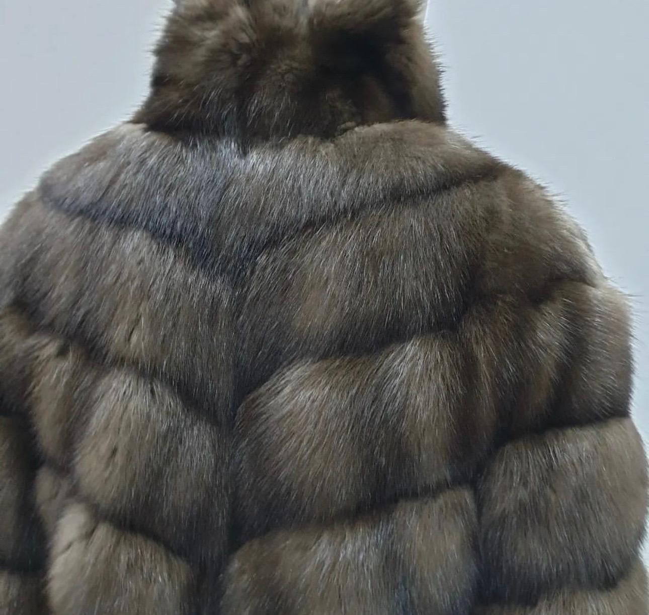 paolo coat