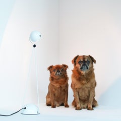 Paolo Piva "Meridiana" Articulated Lamp