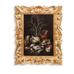 Paolo Porpora (Italian 1617-1673) Still Life of Shells and Coral