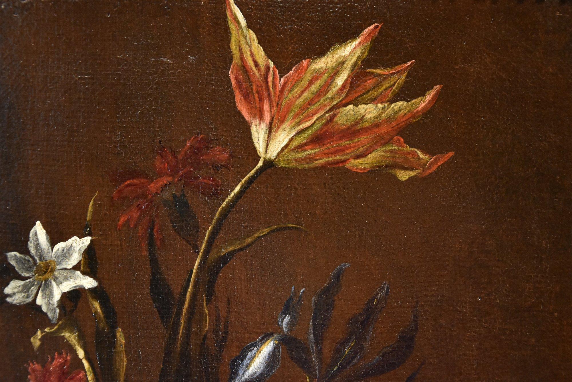 Stillleben Blumen Porpora Gemälde 17. Jahrhundert Öl auf Leinwand Alter Meister Italien 6