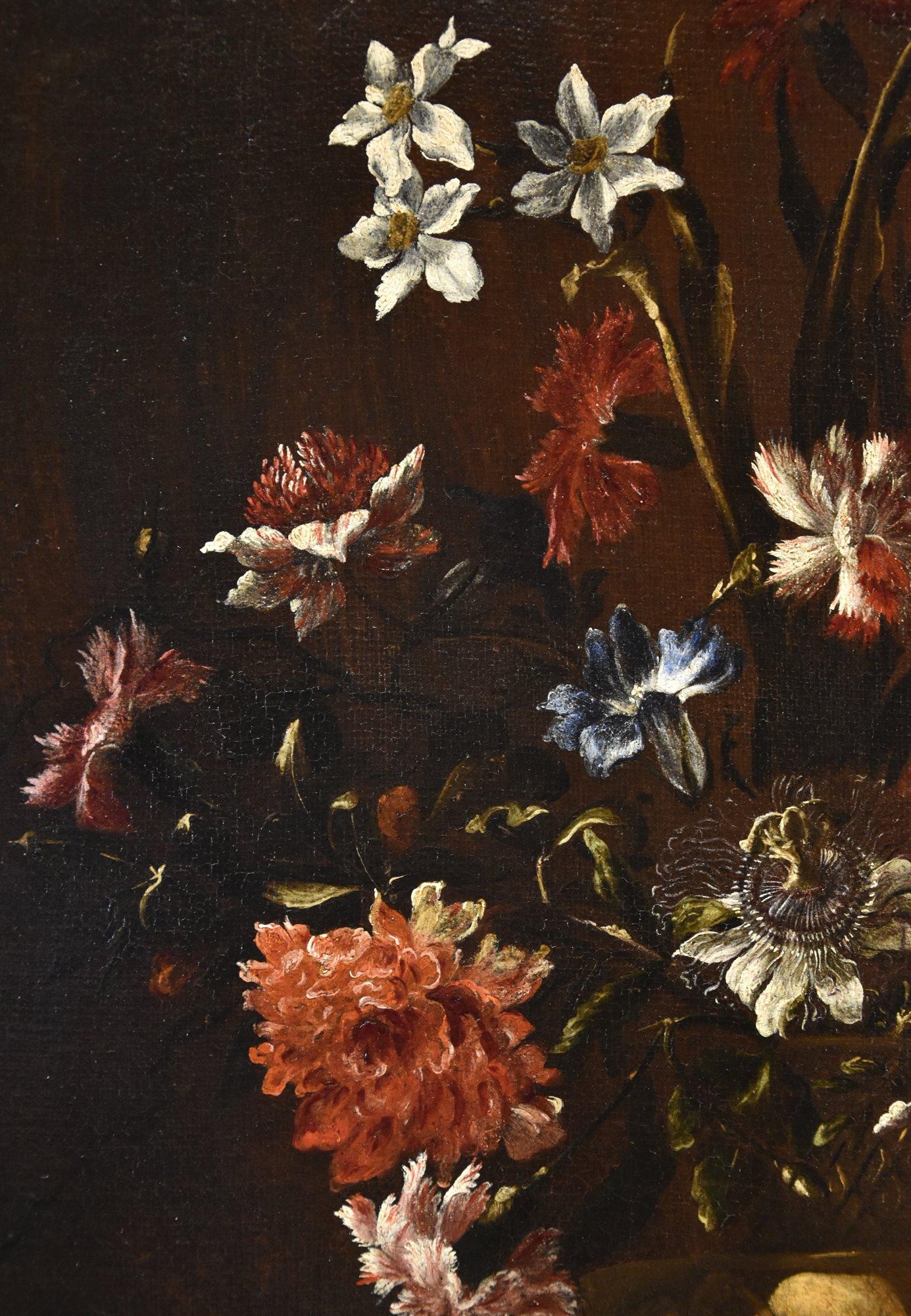 Stillleben Blumen Porpora Gemälde 17. Jahrhundert Öl auf Leinwand Alter Meister Italien (Schwarz), Still-Life Painting, von Paolo Porpora (Naples, 1617 - Rome, 1673)