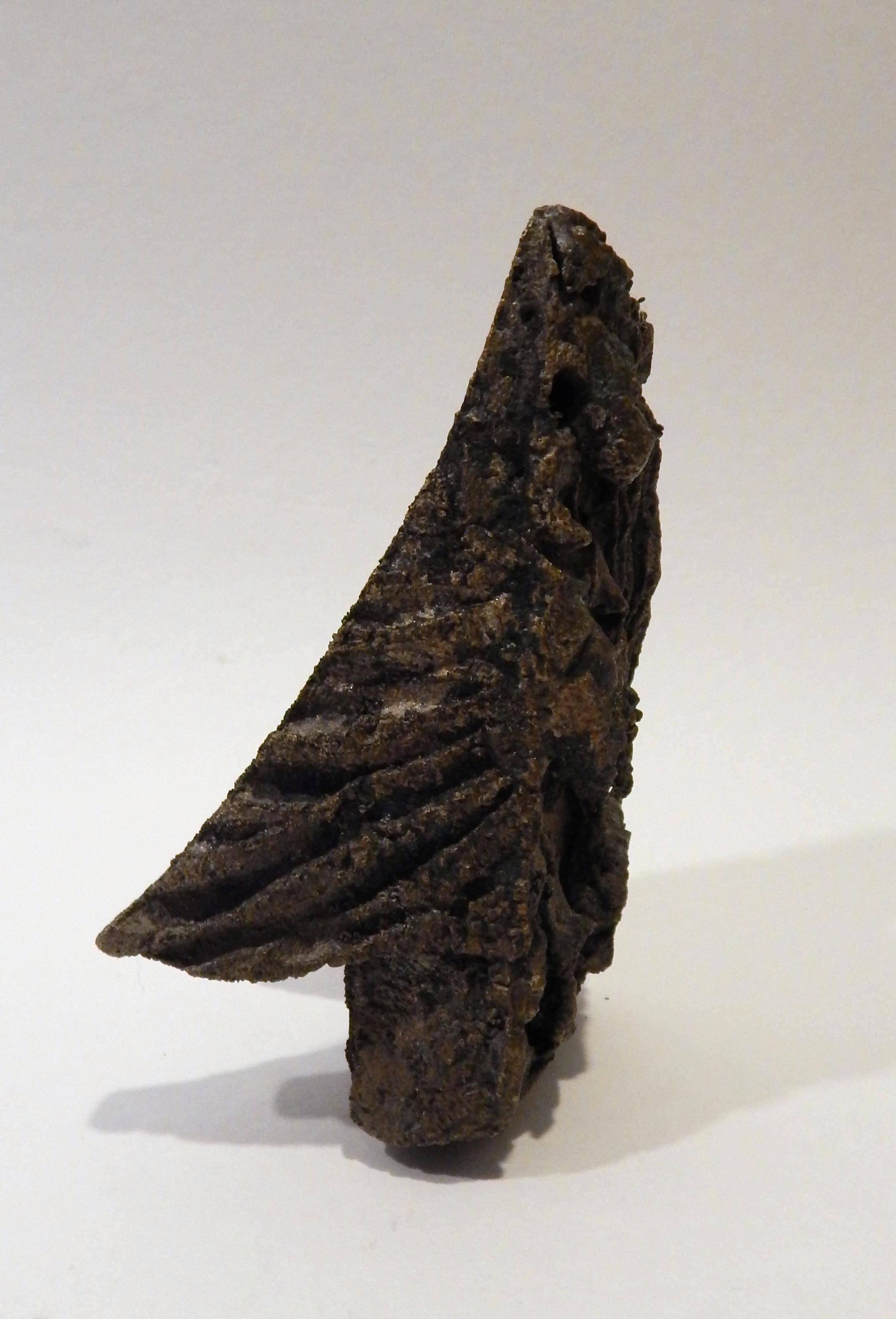 Scultura originale in bronzo di Paolo Soleri - Forma di angelo alato in vendita 6
