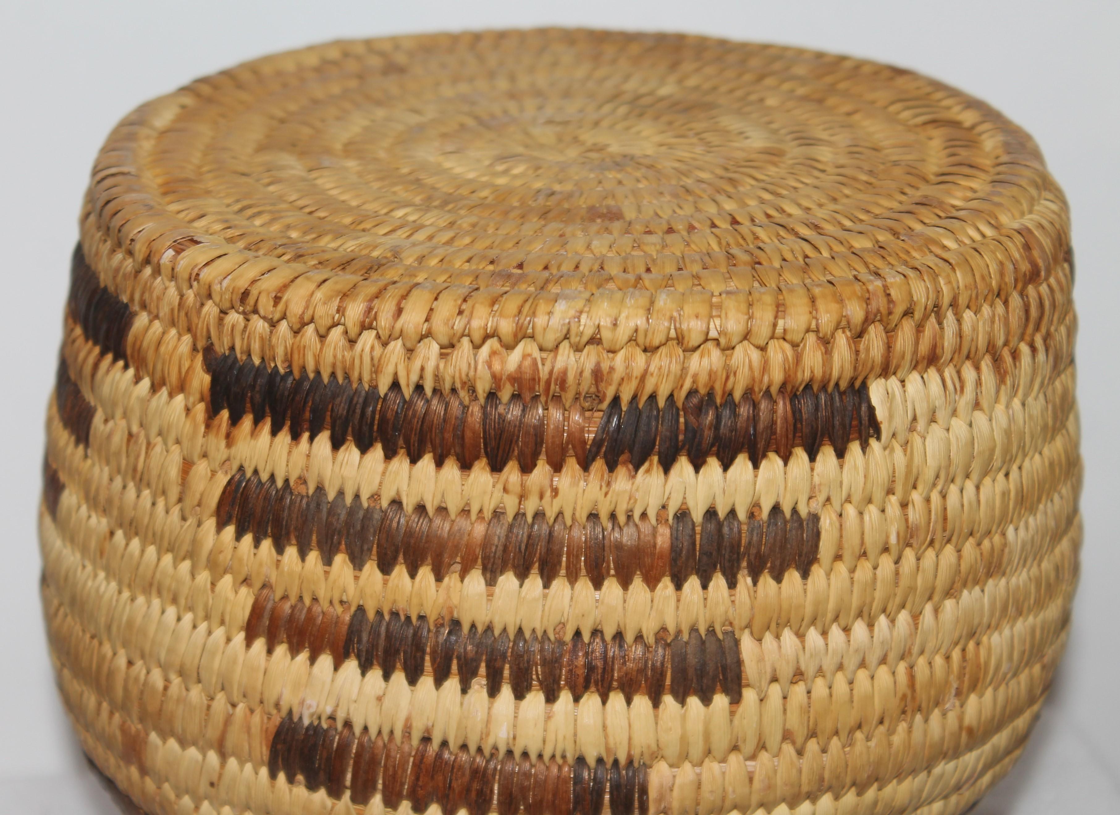 Papago Indian Baskets, Collection 3 For Sale 5