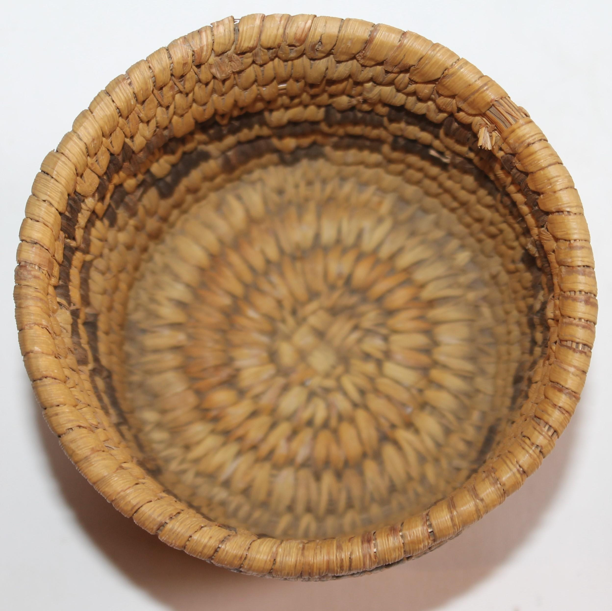 Papago Indian Baskets, Collection 3 For Sale 7