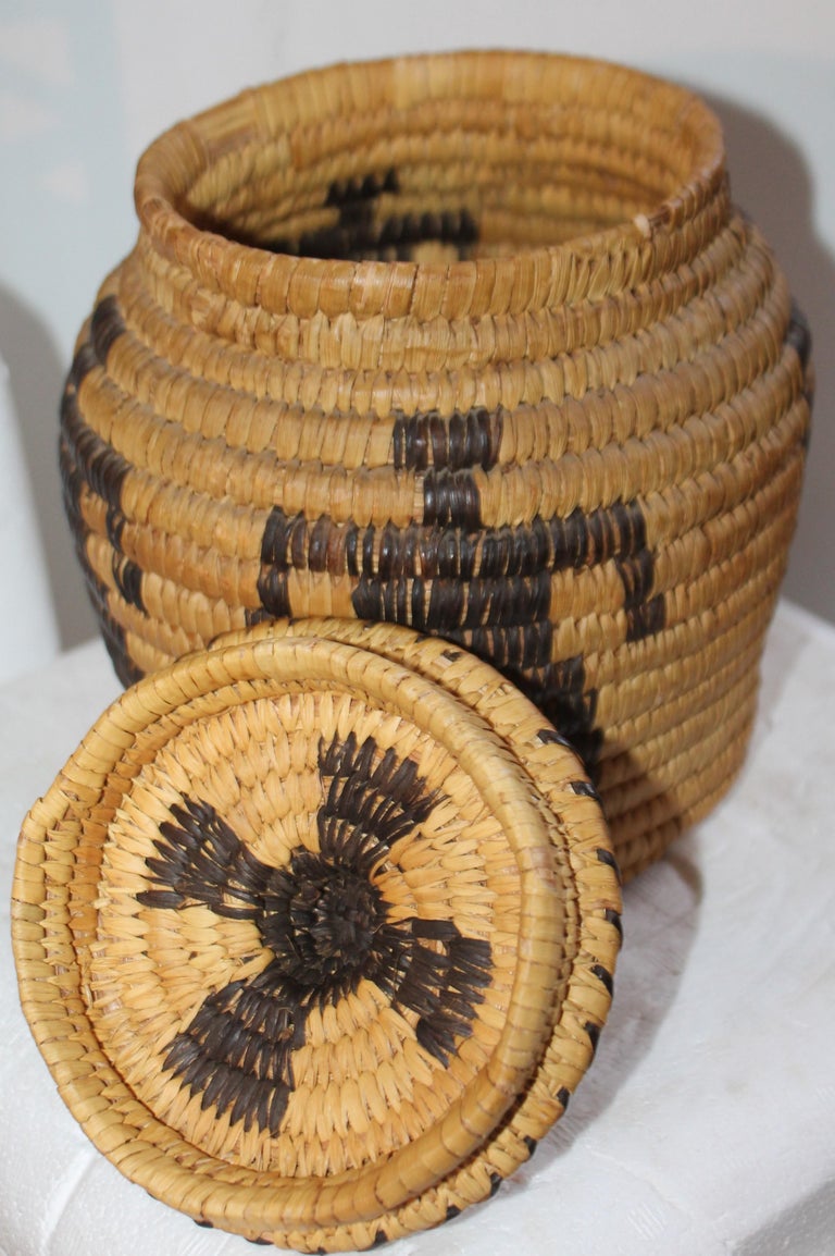 Papago Indian Pictorial Lidded Basket at 1stDibs