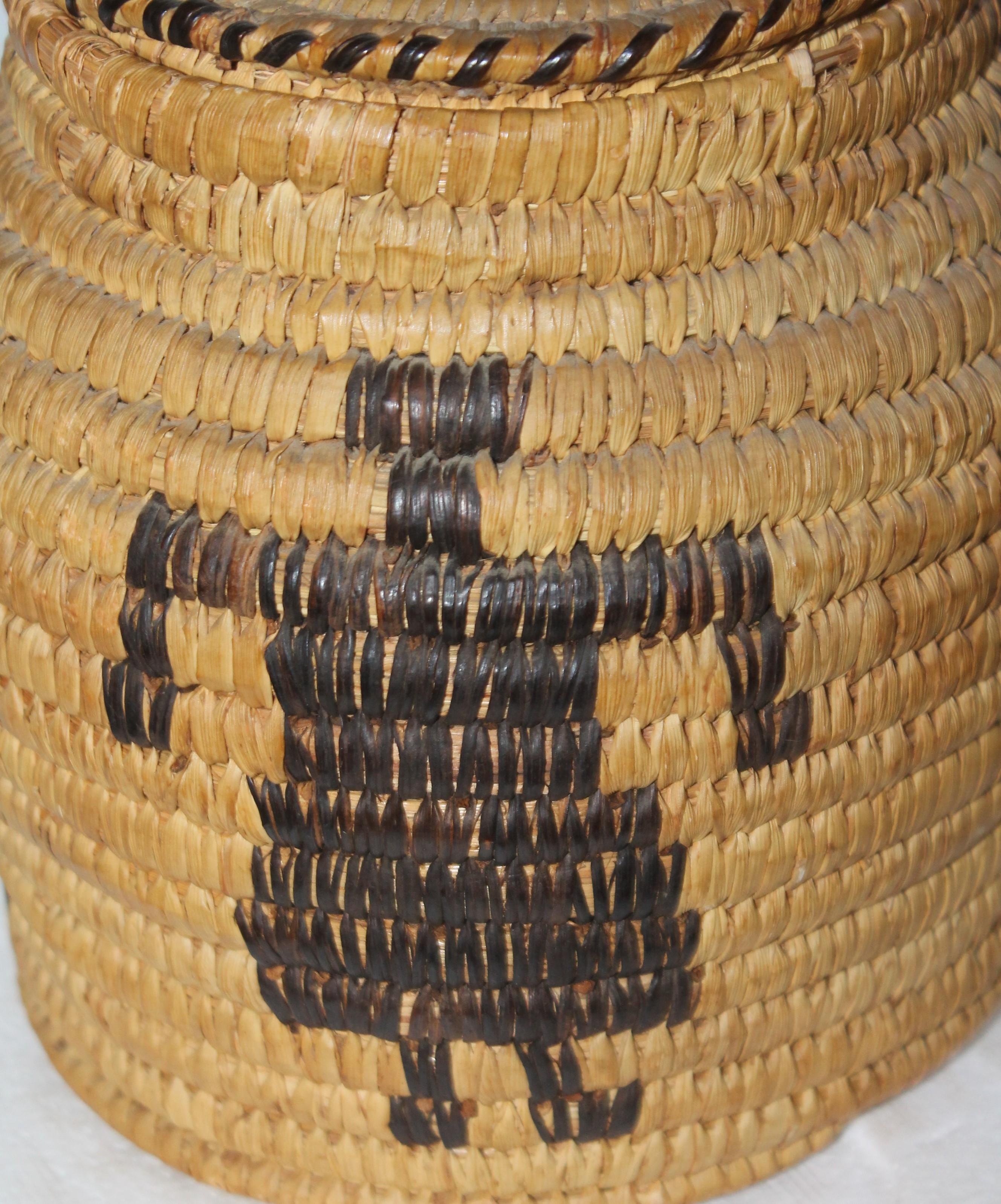 Hand-Crafted Papago Indian Pictorial Lidded Basket