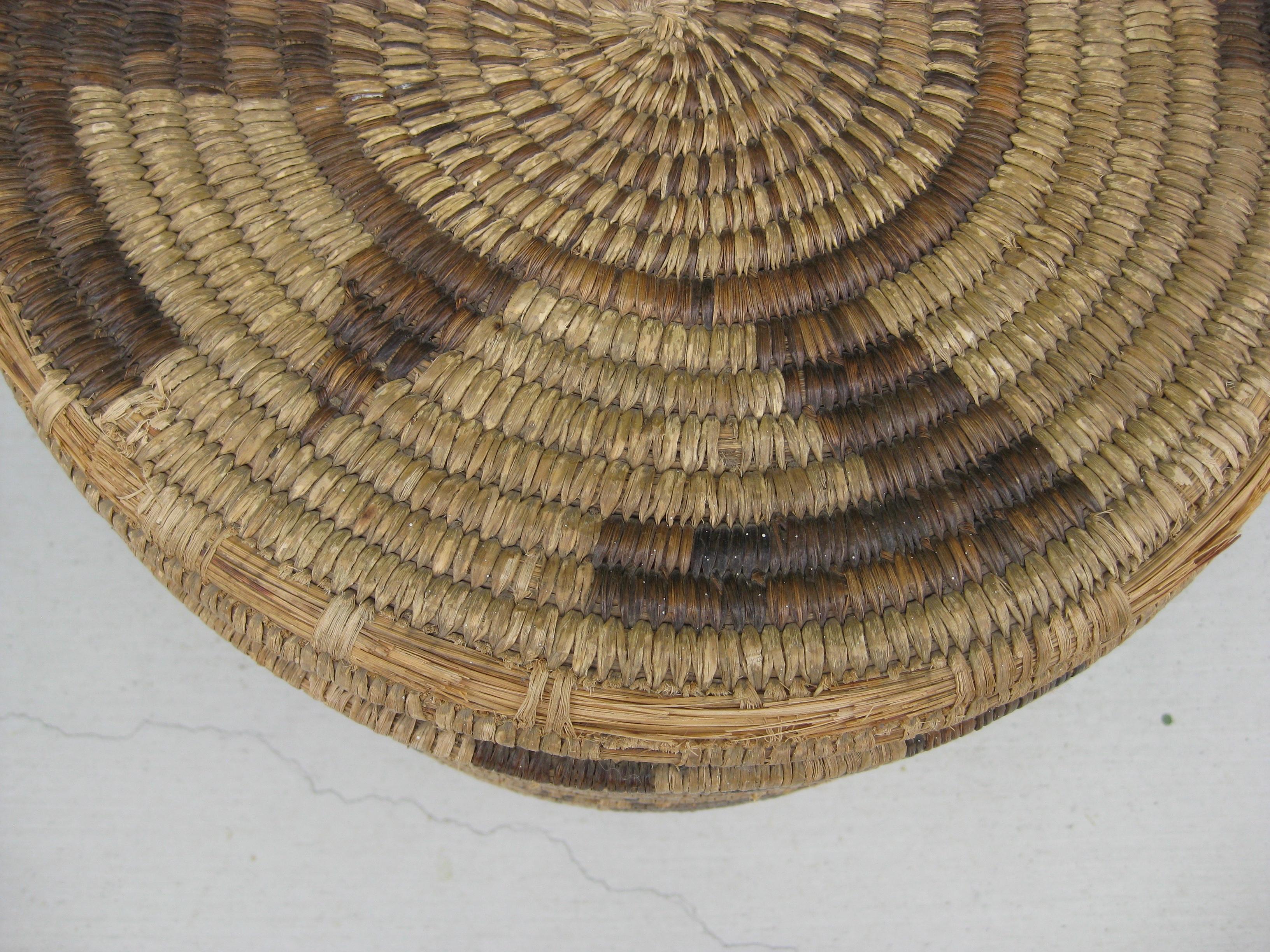 Papago Native American Indian Pictorial Coiled Lidded Olla Basket HUGE ! en vente 10