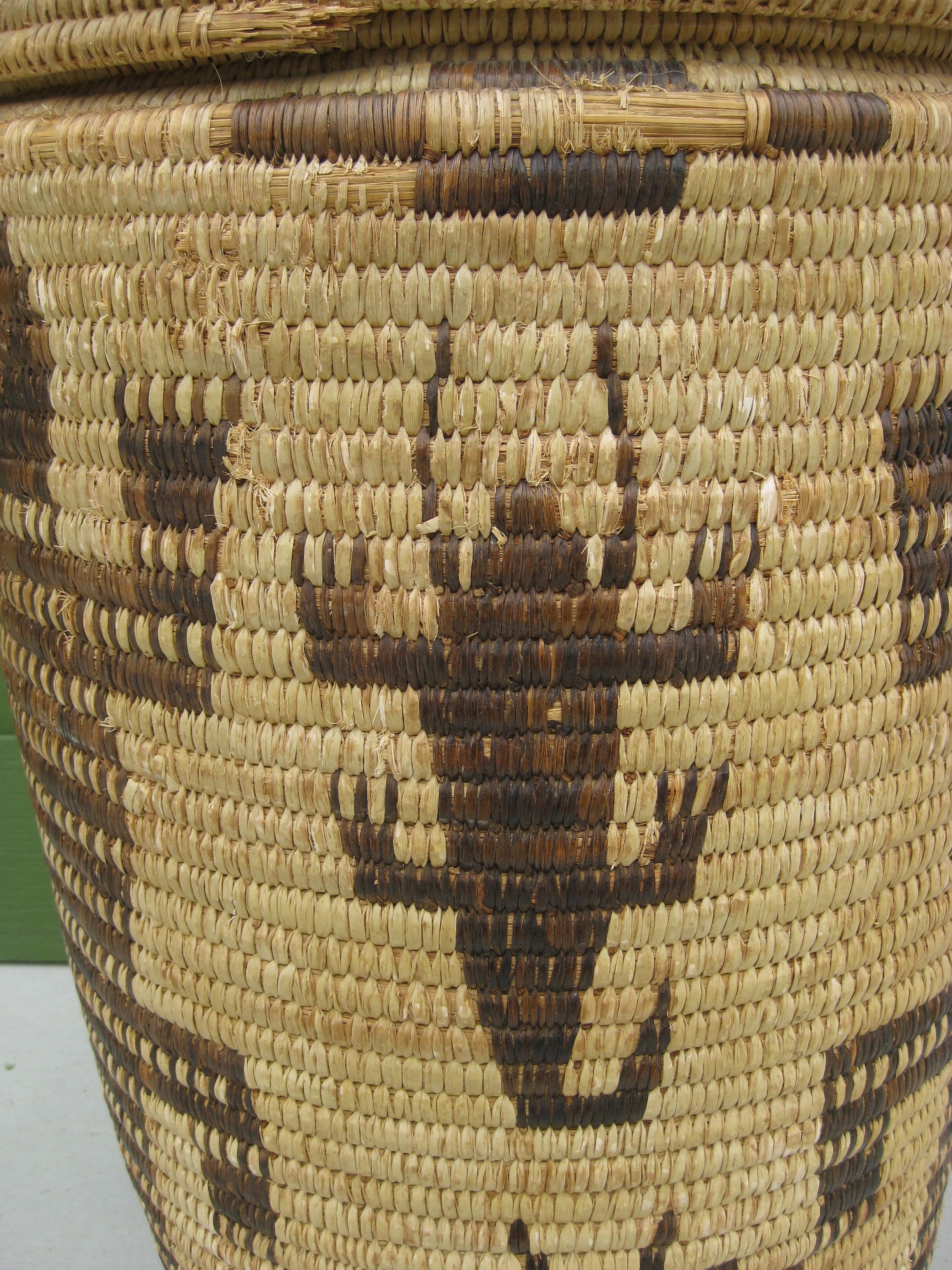 Natural Fiber Papago Native American Indian Pictorial Coiled Lidded Olla Basket HUGE! For Sale