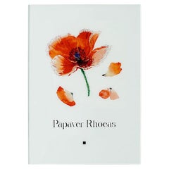 Papaver Rhoes Diasec Print