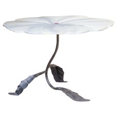 Papaver Somniferum Album