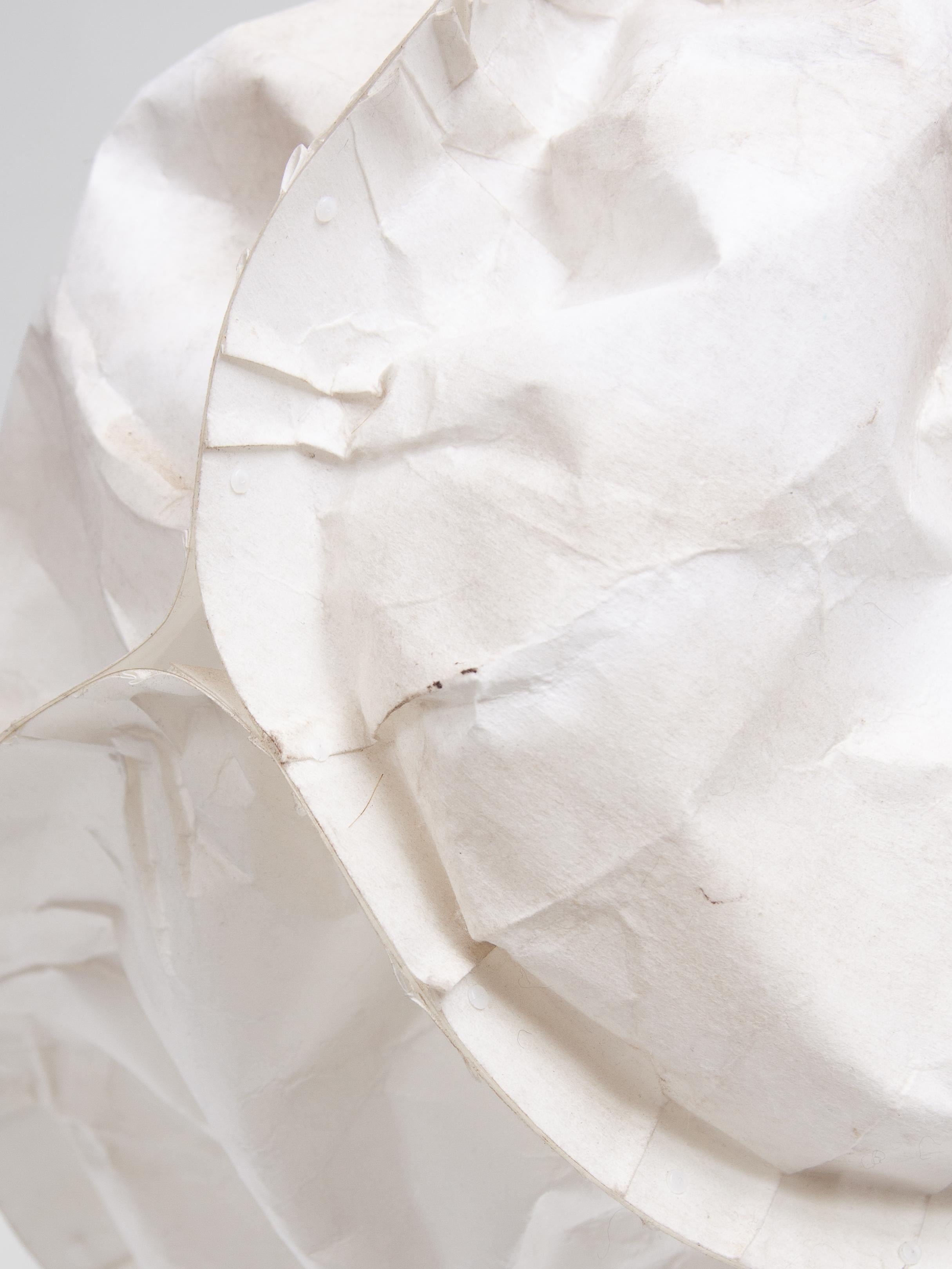 Paper Parchment 