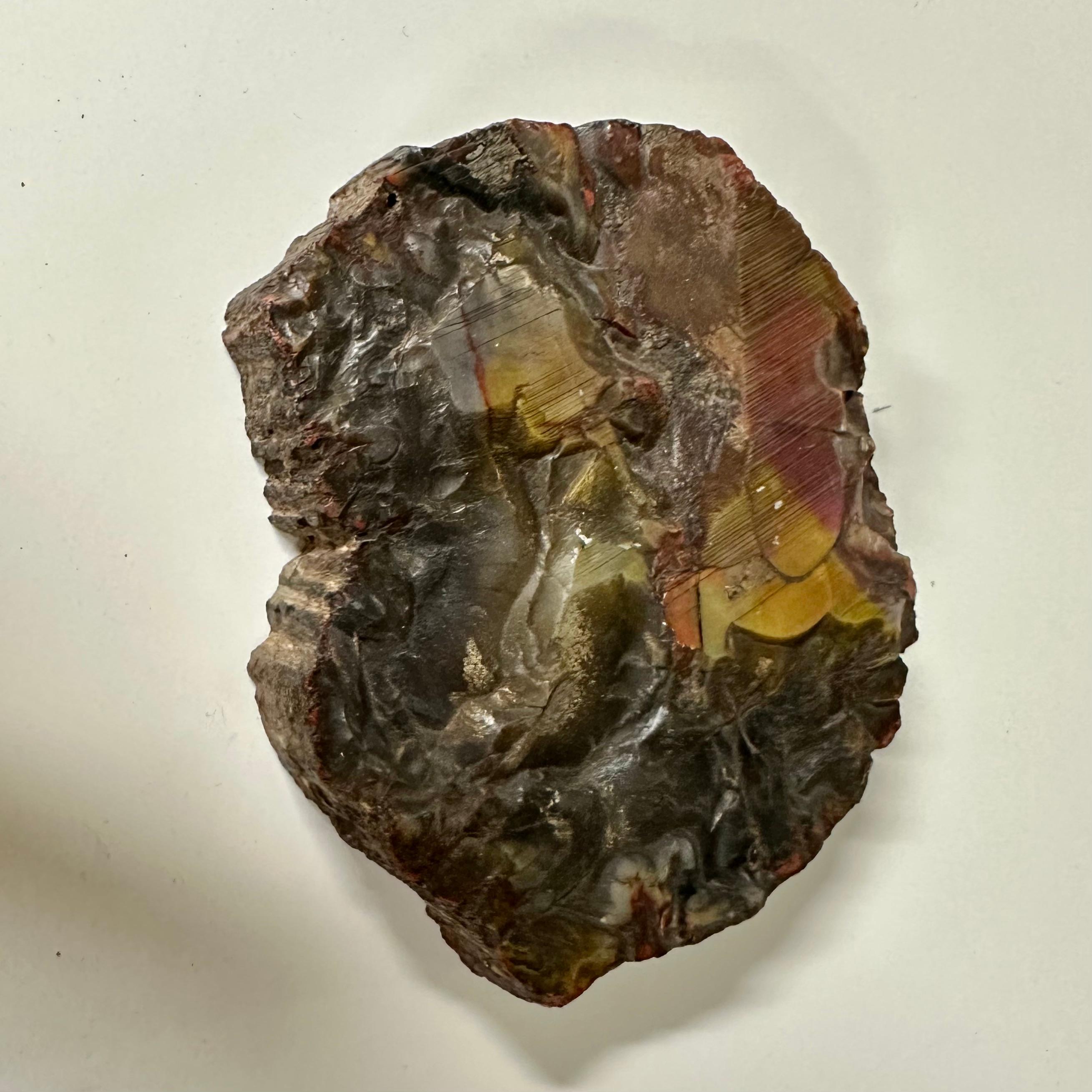 Sconosciuto Fermacarte. Un pezzo di legno pietrificato e lucidato su un lato. in vendita