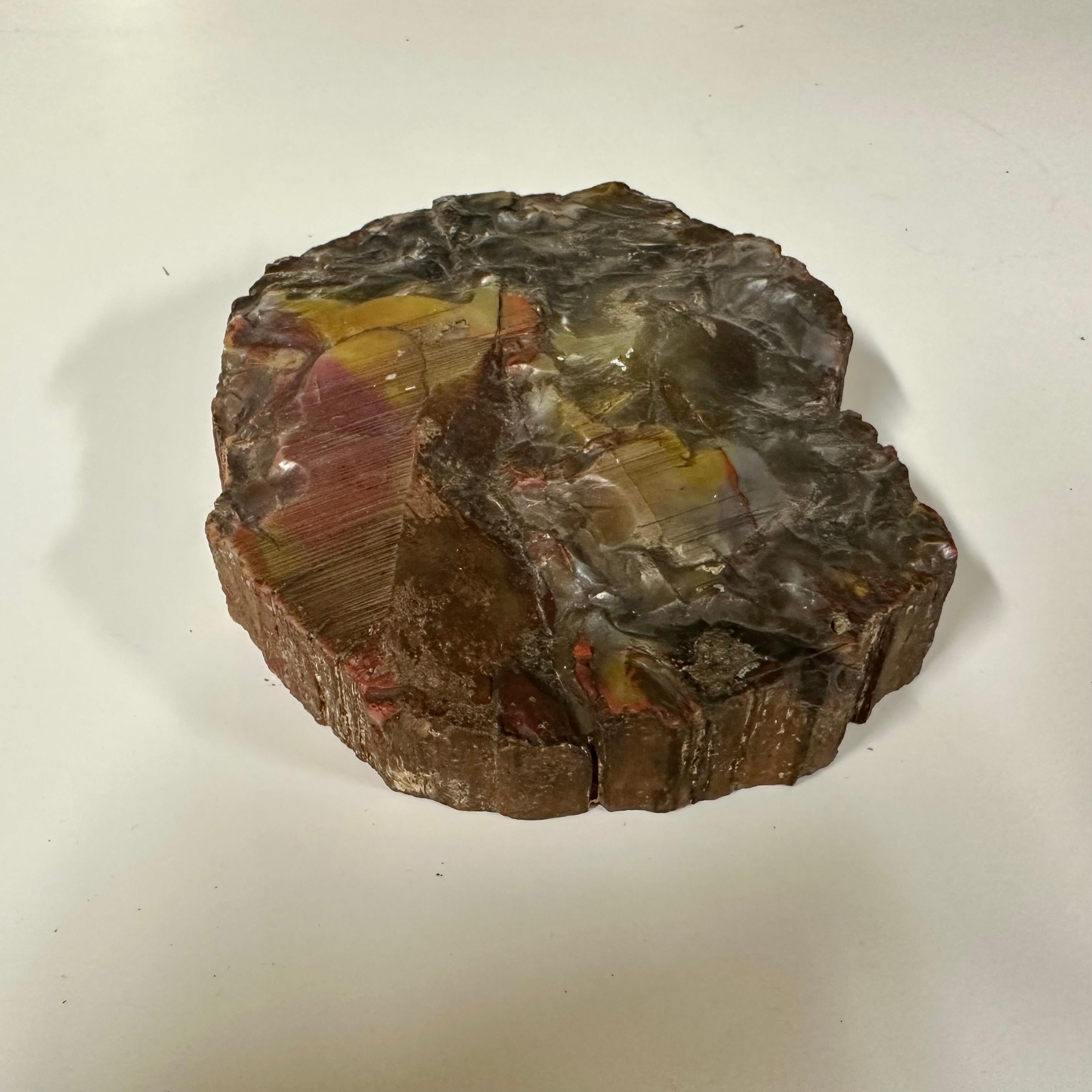 Fermacarte. Un pezzo di legno pietrificato e lucidato su un lato. In condizioni buone in vendita a Stockholm, SE