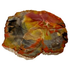 Paperweight. A Petrified piece of wood polished on one side.