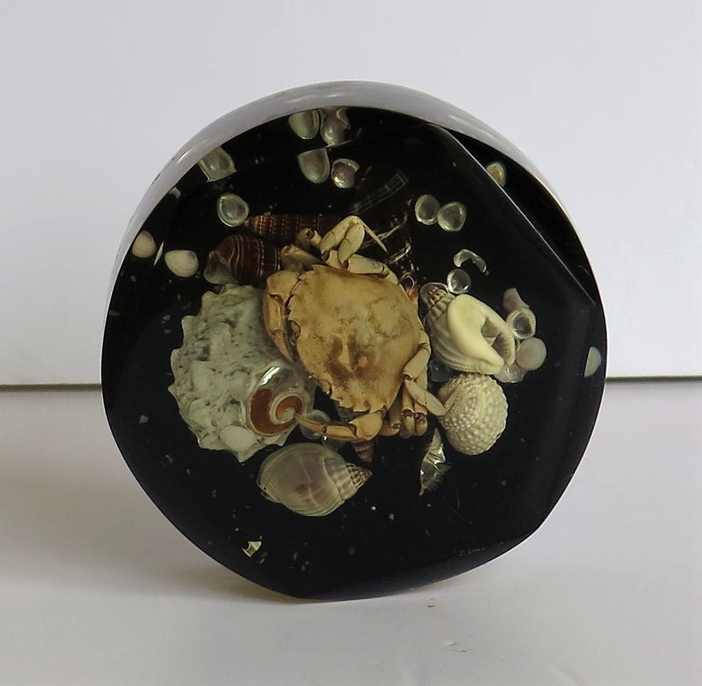 Paperweight with Seashore Theme Handmade with Real Sea Shells & Crab, circa 1970 For Sale 3