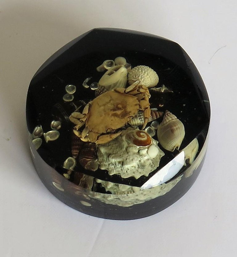 Paperweight with Seashore Theme Handmade with Real Sea Shells and Crab