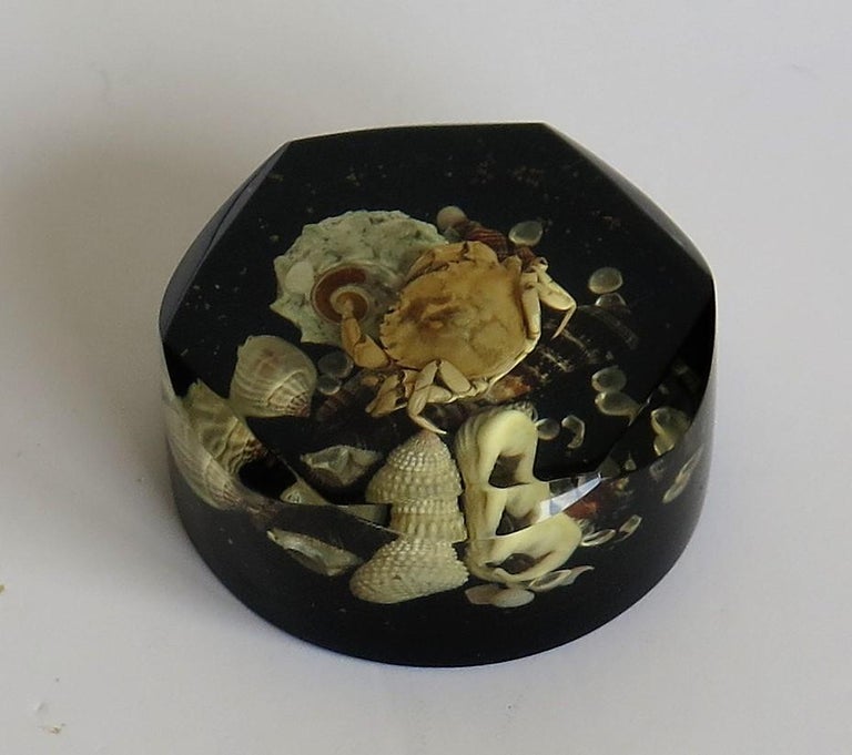 Paperweight with Seashore Theme Handmade with Real Sea Shells and Crab