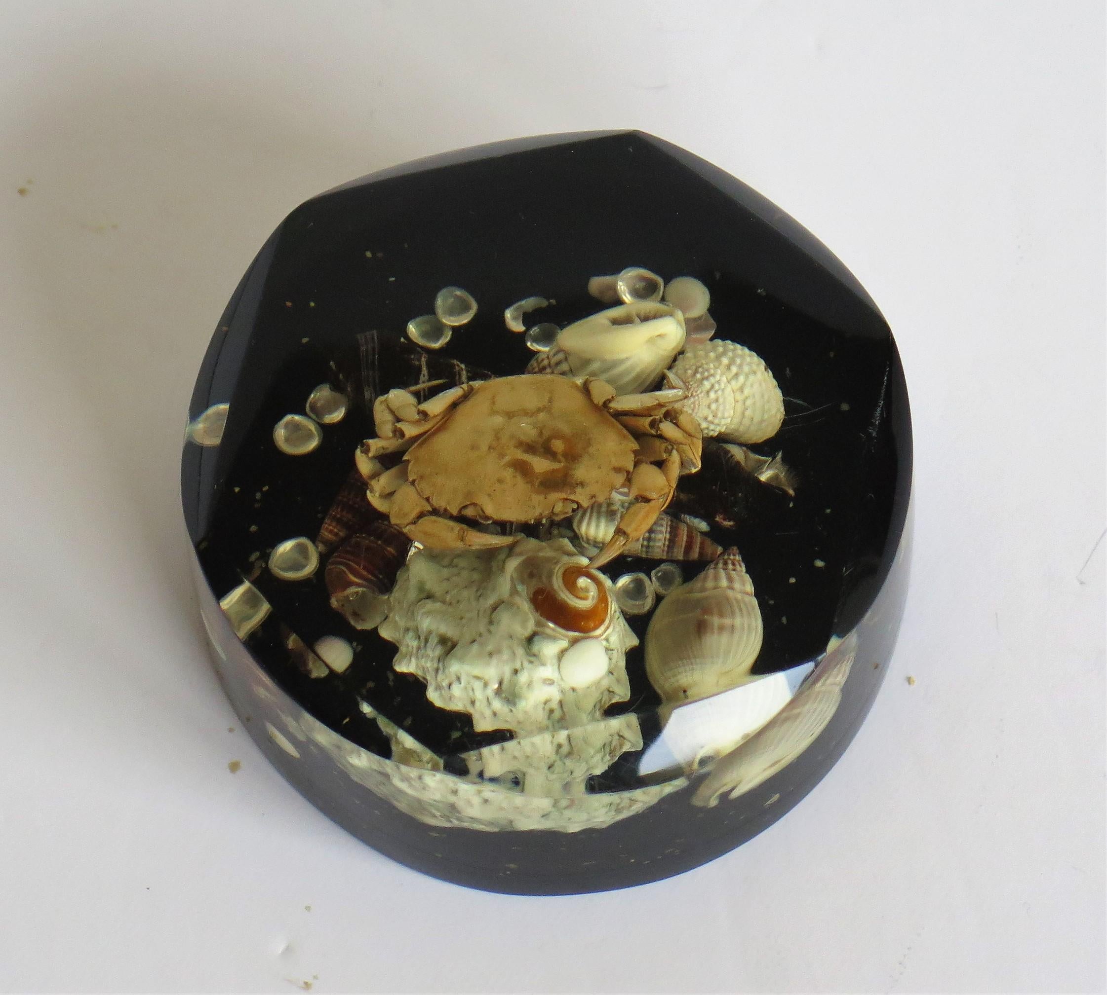 Paperweight with Seashore Theme Handmade with Real Sea Shells & Crab, circa 1970 For Sale 6