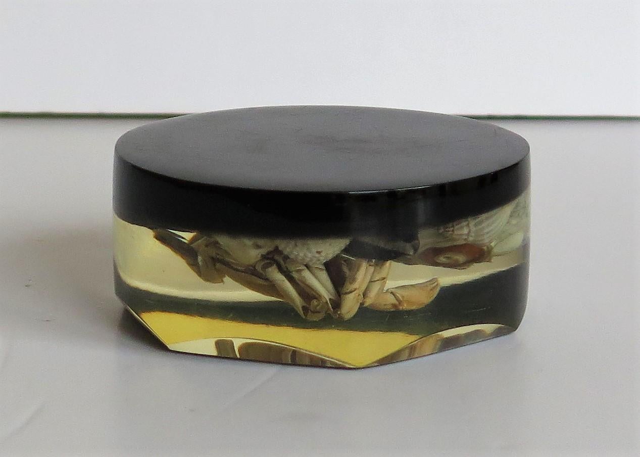 Paperweight with Seashore Theme Handmade with Real Sea Shells & Crab, circa 1970 For Sale 7