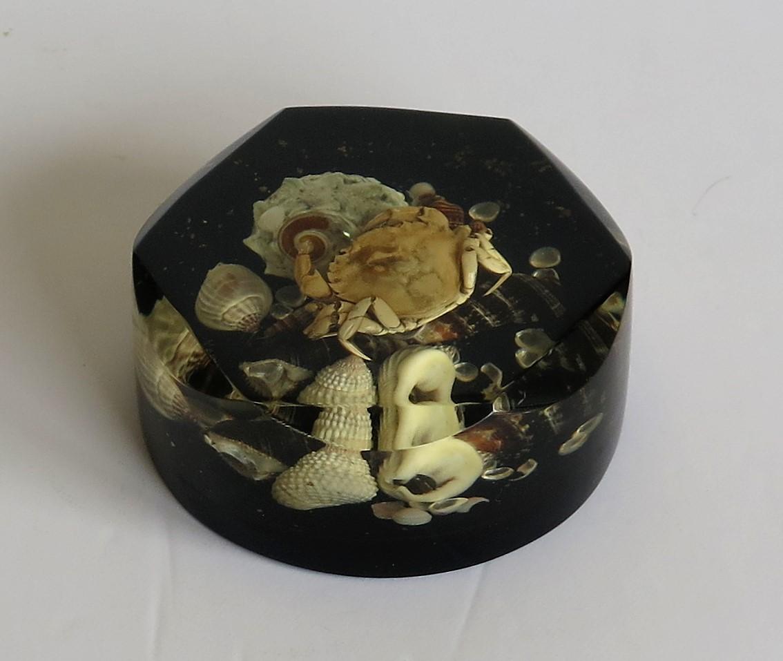This is a beautiful handmade English acrylic paperweight having a seashore theme with real items and dating to the 20th century, circa 1970.

This paperweight is handmade of real items found at the seashore including a small crab and various