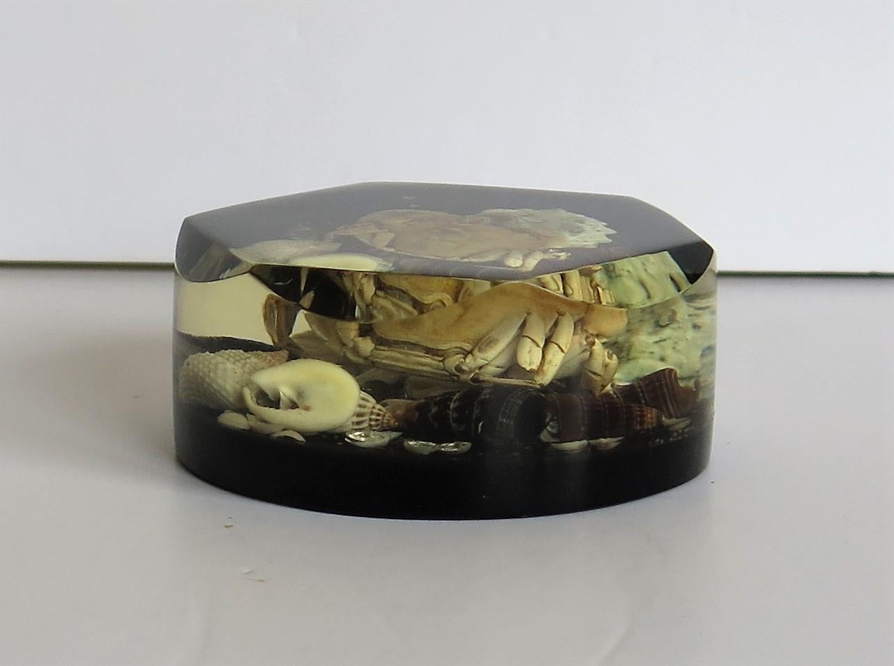 English Paperweight with Seashore Theme Handmade with Real Sea Shells & Crab, circa 1970 For Sale