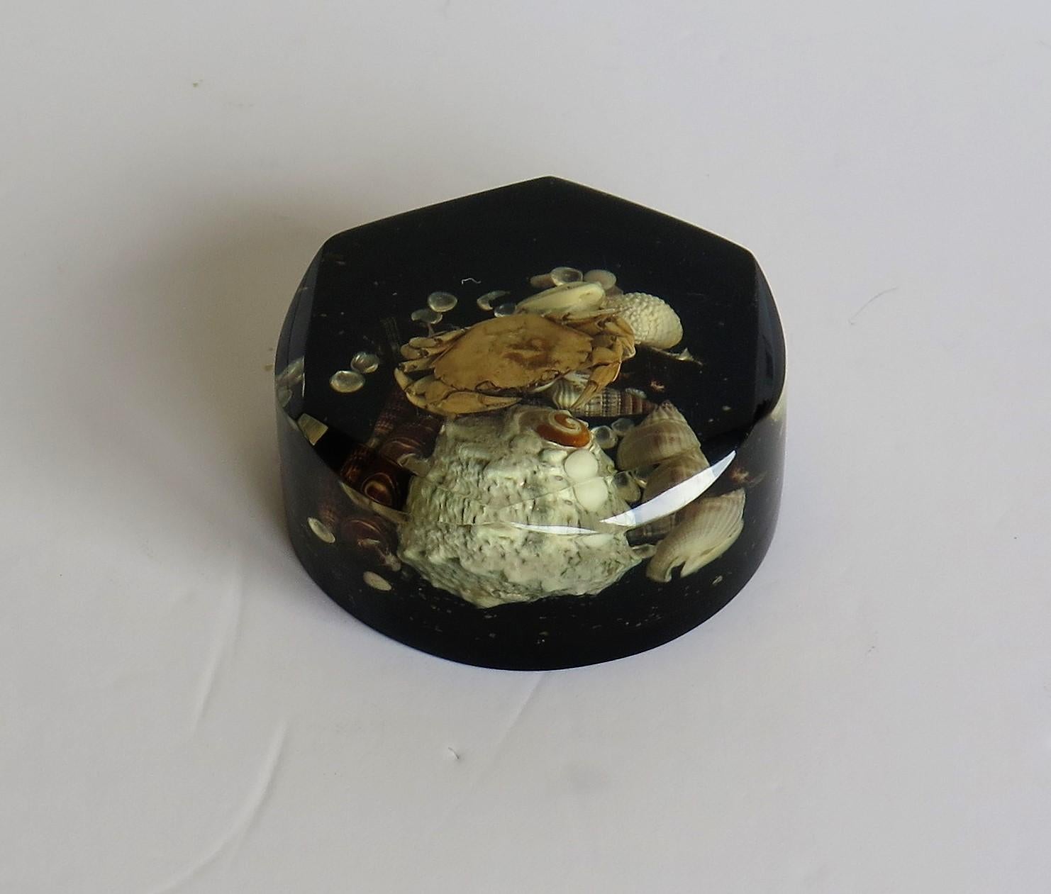 Paperweight with Seashore Theme Handmade with Real Sea Shells & Crab, circa 1970 In Good Condition For Sale In Lincoln, Lincolnshire