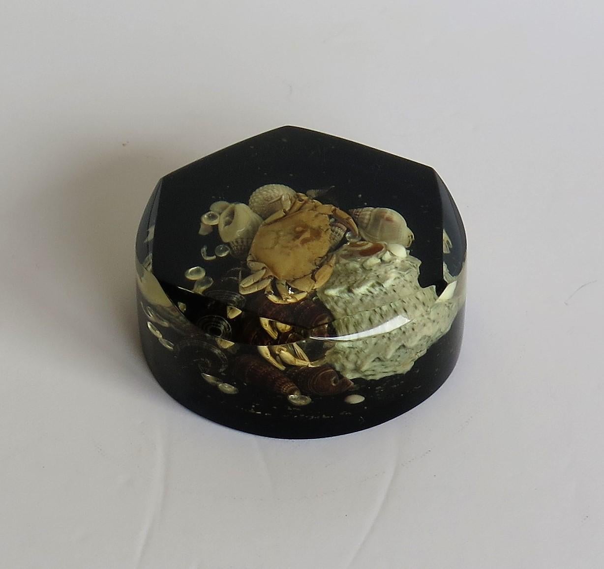20th Century Paperweight with Seashore Theme Handmade with Real Sea Shells & Crab, circa 1970 For Sale