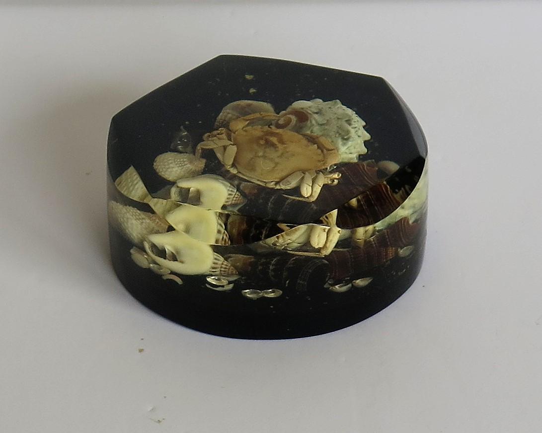 Paperweight with Seashore Theme Handmade with Real Sea Shells & Crab, circa 1970 1