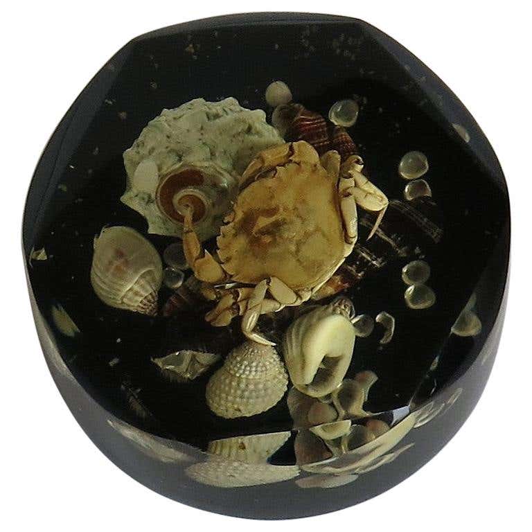 Paperweight with Seashore Theme Handmade with Real Sea Shells and Crab ...