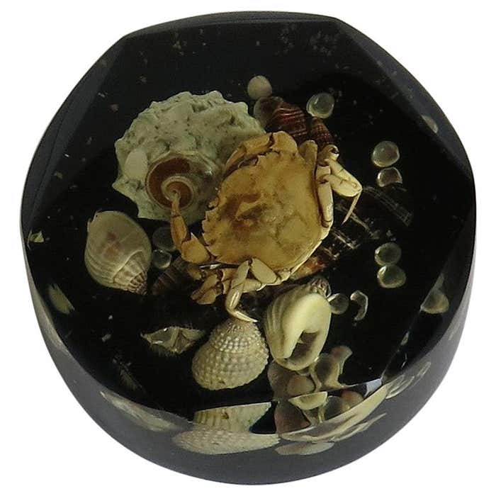 Paperweight with Seashore Theme Handmade with Real Sea Shells and Crab ...