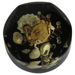 Vintage Paperweight with Seashore Theme Handmade with Real Sea Shells & Crab, circa 1970