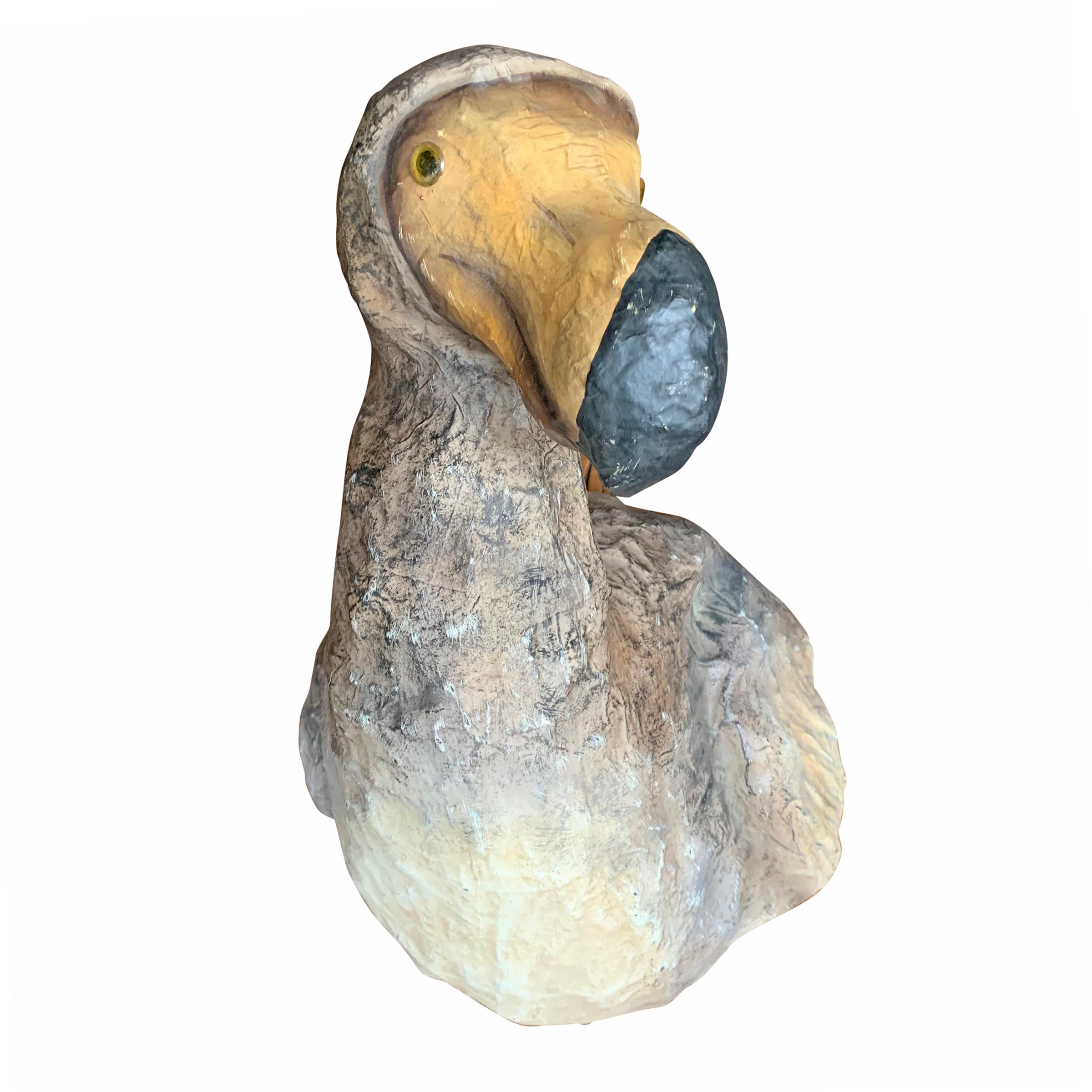 dodo bird head