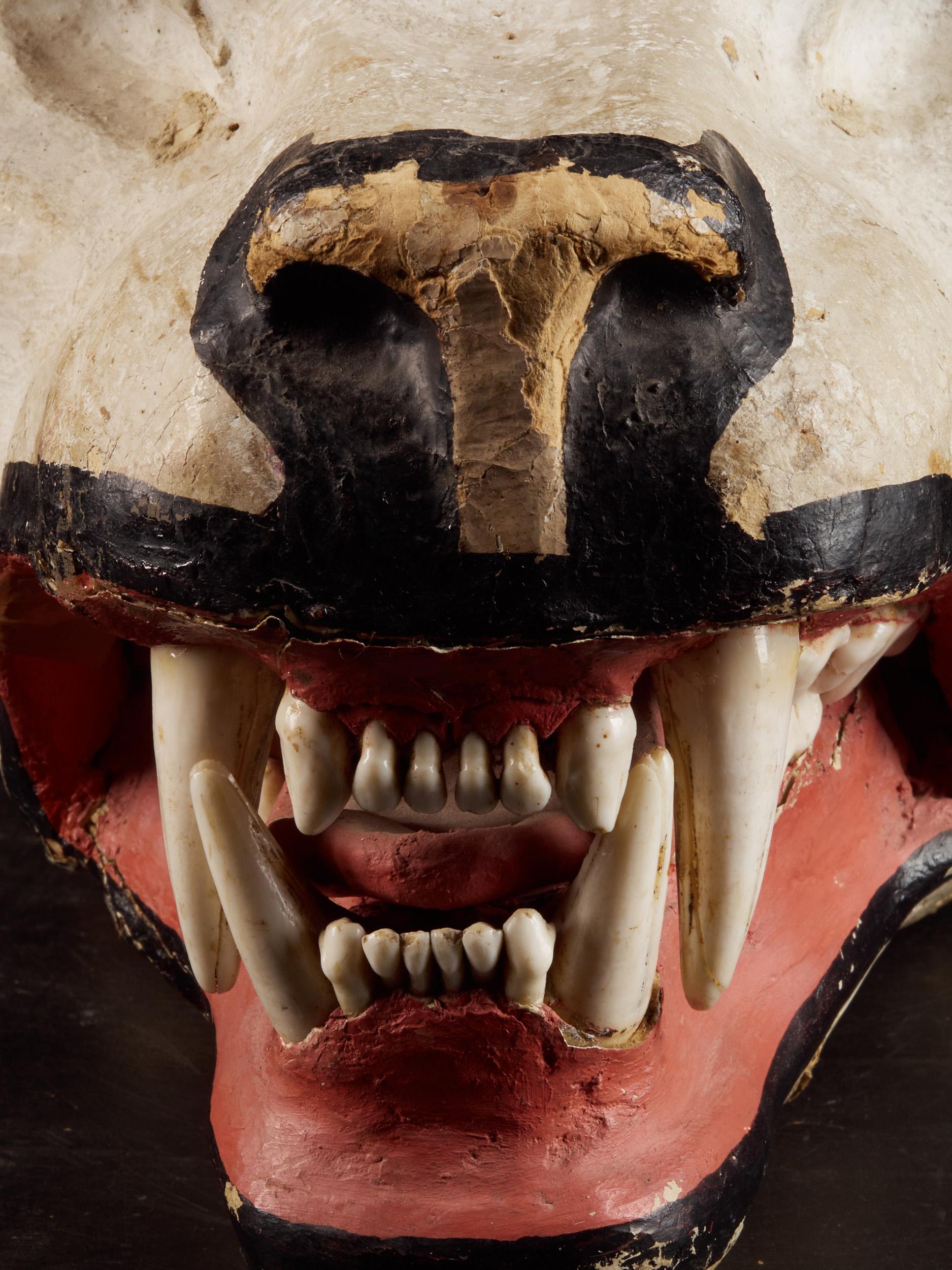 Paper Papier Maché Lion's Head with Real Teeth for Taxidermy Use