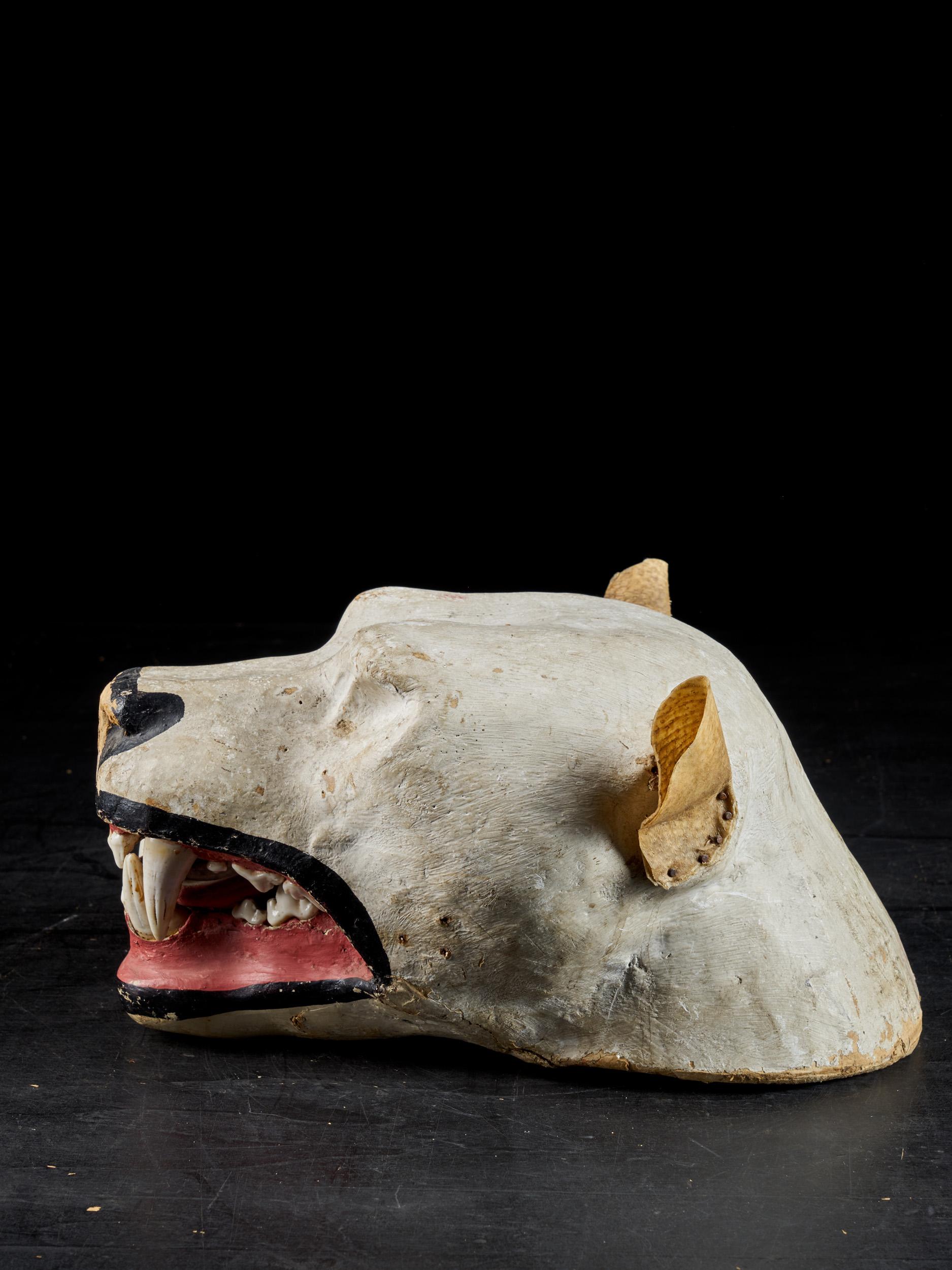 Papier mâché lions head, with nice coloured patina in off-white, black and red. The head was used for taxidermy in the 19th century. When preparing a taxidermy specimen, while the skin dries out, the mould is ready. Older methods of creating moulds