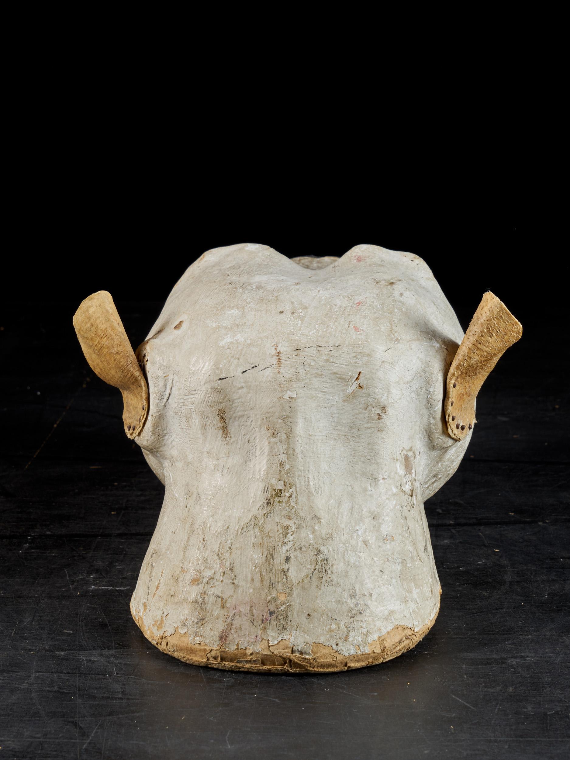 Tête de lion en papier mâché avec de vraies dents pour la taxidermie Bon état - En vente à Leuven , BE