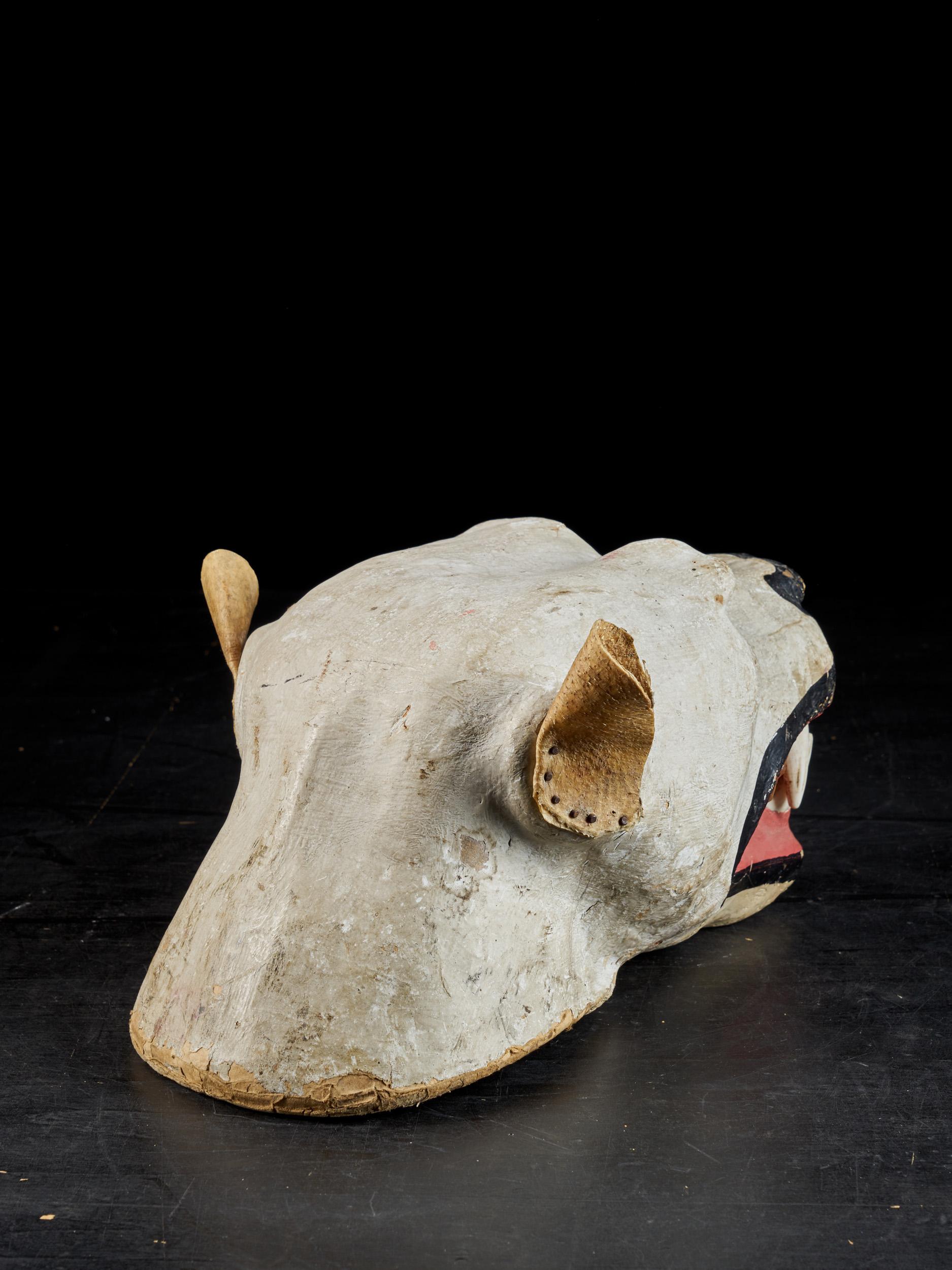 Hand-Crafted Papier Maché Lion's Head with Real Teeth for Taxidermy Use For Sale