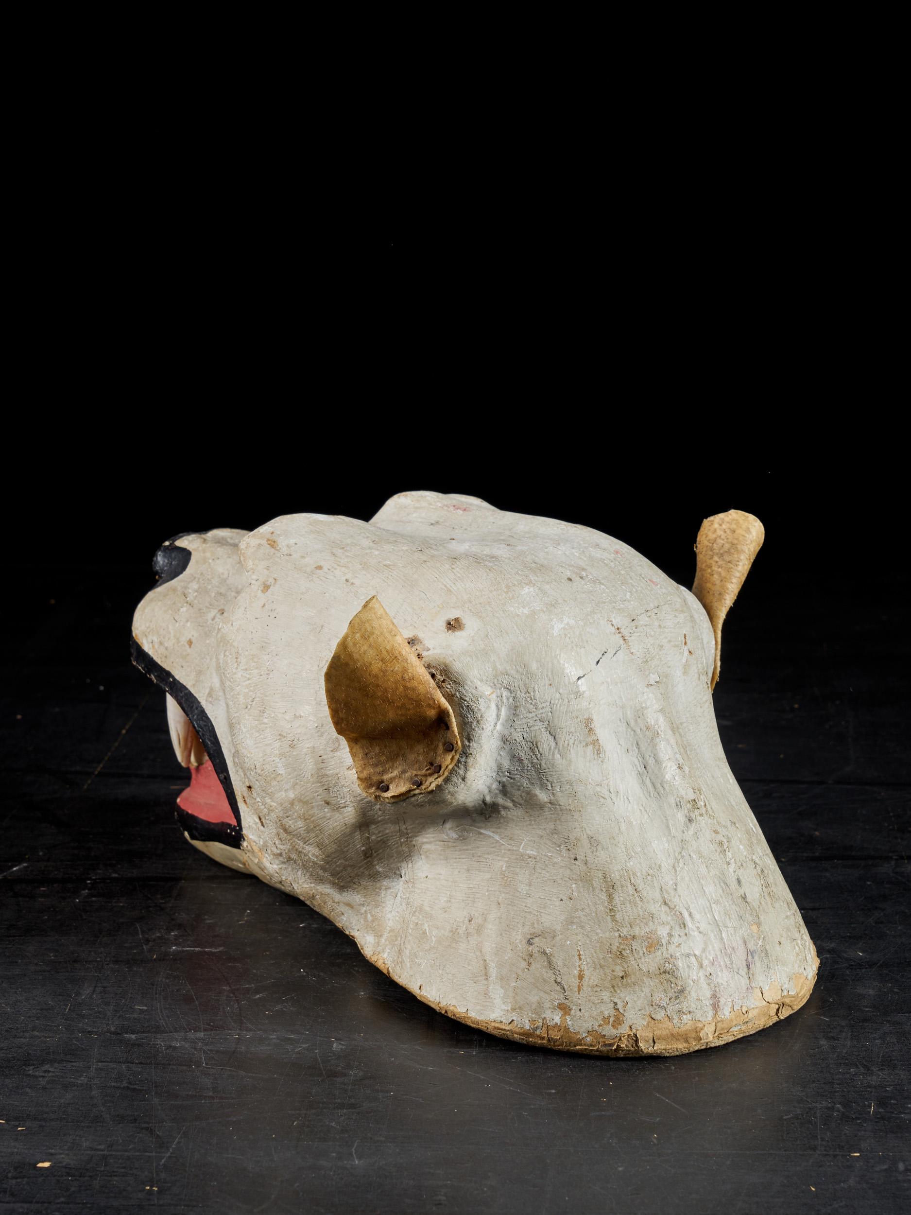 Papier Maché Lion's Head with Real Teeth for Taxidermy Use In Good Condition For Sale In Leuven , BE
