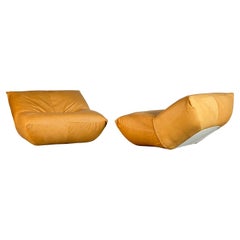 'Papillon' Lounge Chairs by Guido Maria Rosati for Giovannetti, Cognac Leather