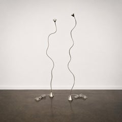 Papiro Floor Lamp by Sergio Calatroni for Pallucco (sold individually)