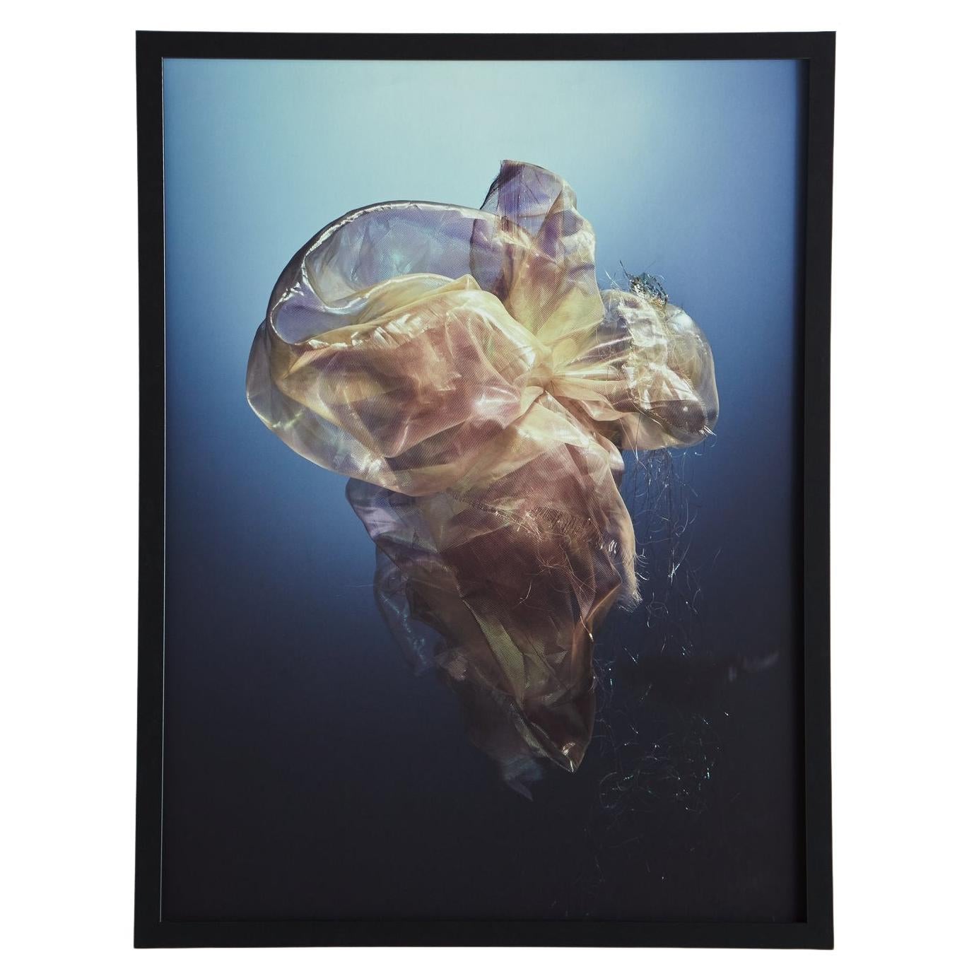 Parachute Print II by Brooke Vandever For Sale