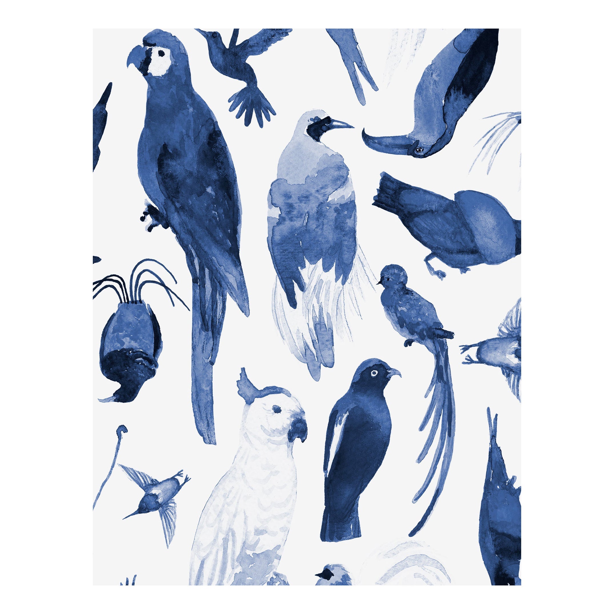Paradise Birds Tropical Watercolor Wallpaper Blue and White, Kai For Sale