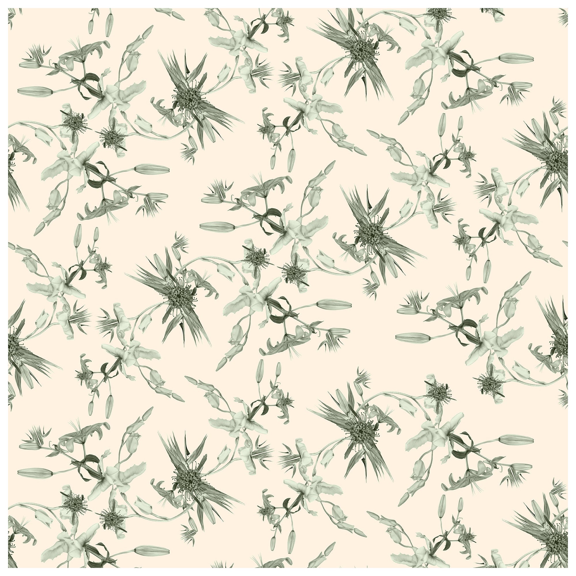 Paradise Floral Wallpaper For Sale