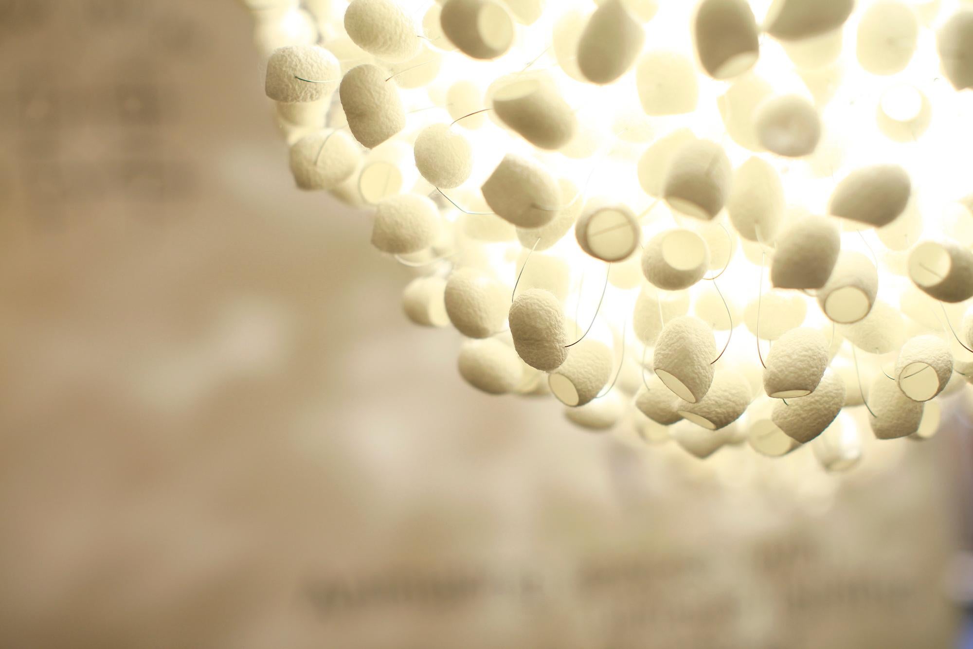 Lámpara Colgante Paradise de Ango, Iluminación Artesanal de Capullo de Seda del Siglo XXI Tailandés en venta