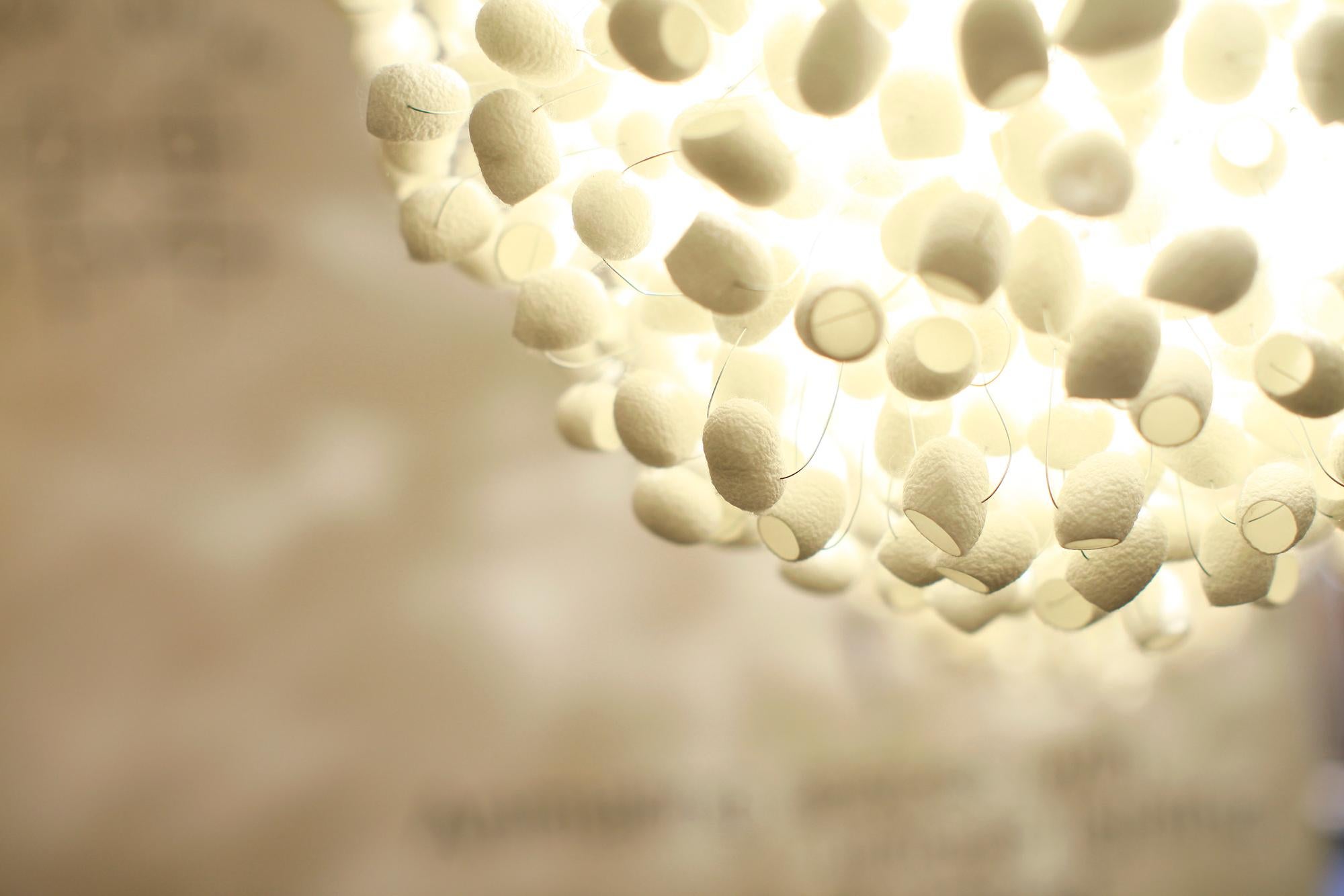 cocoon pendant light