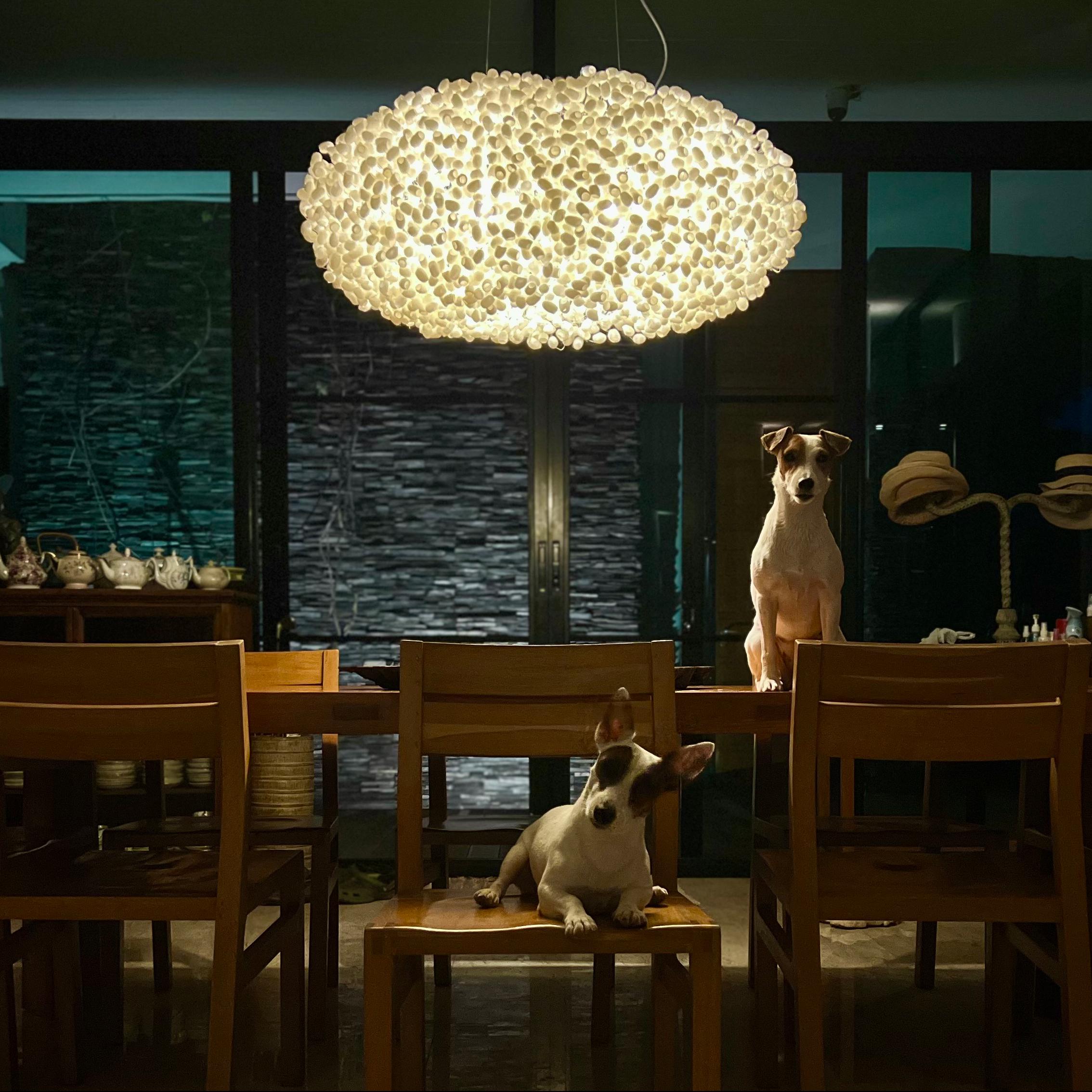 Lámpara Colgante Paradise de Ango, Iluminación Artesanal de Capullo de Seda del Siglo XXI Hecho a mano en venta