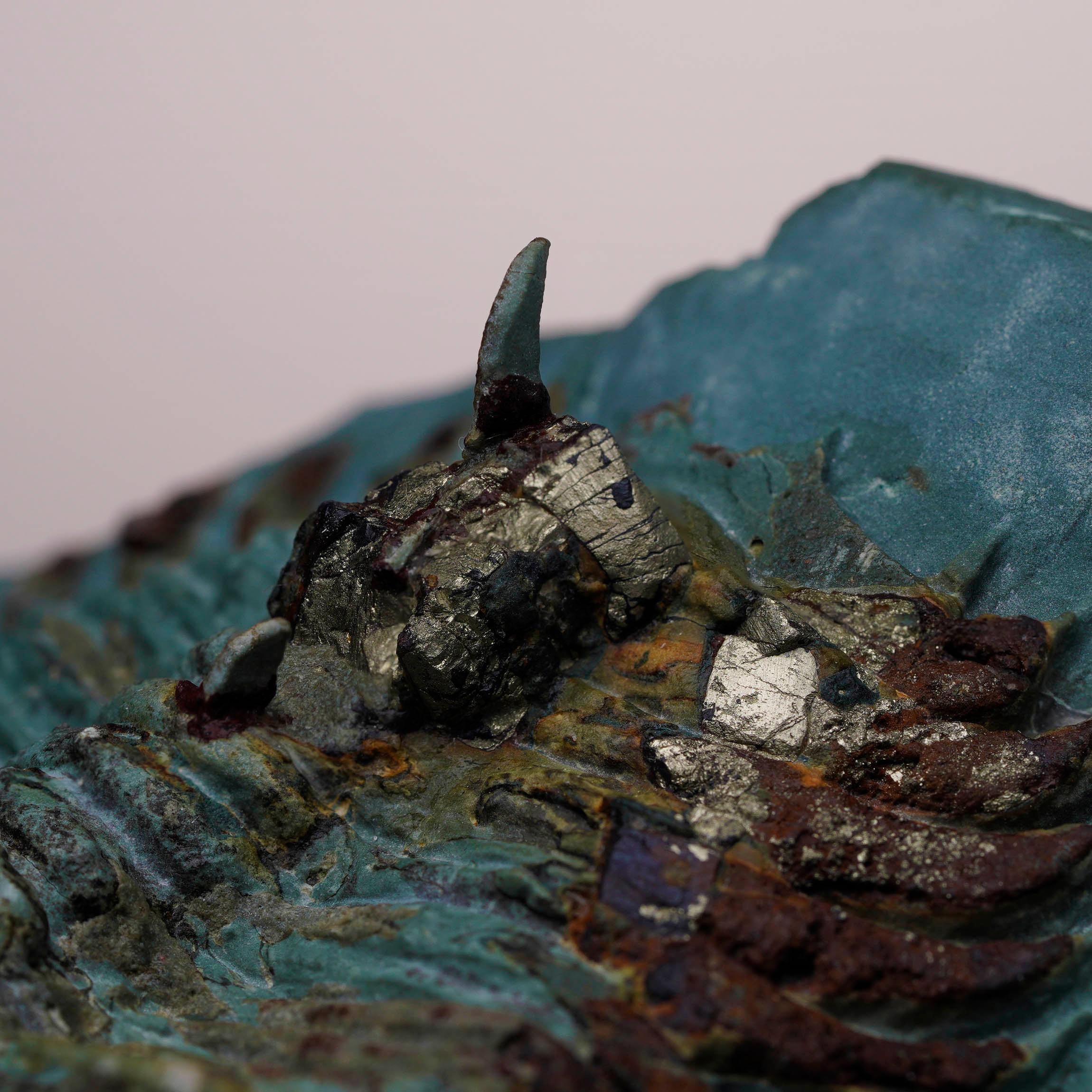 XVIIIe siècle et antérieur Fossile de trilobite Paradoxides en vente