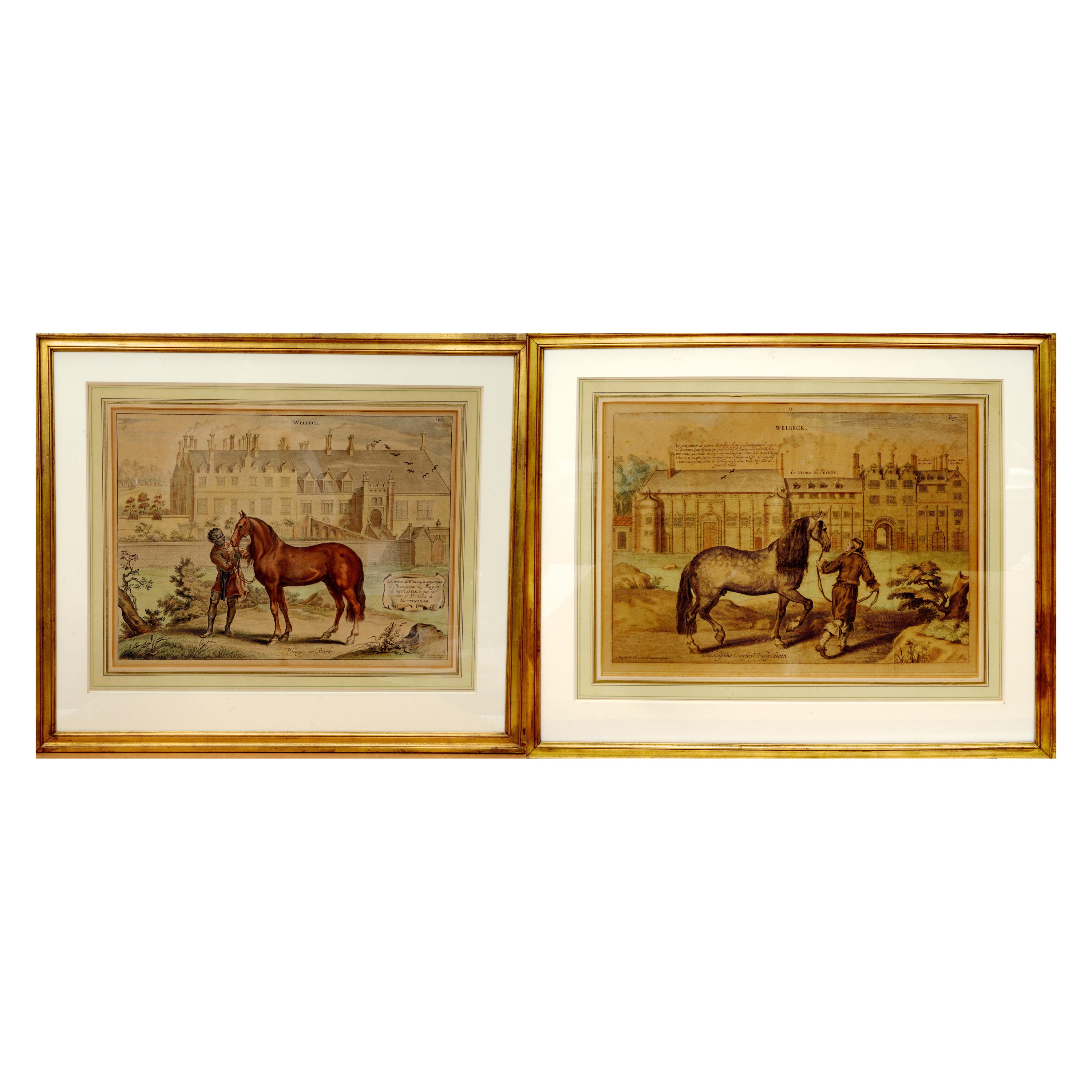 "Paragon un Barbe" Pl. 6&9 A General System of Horsemanship in All Its Branchs For Sale